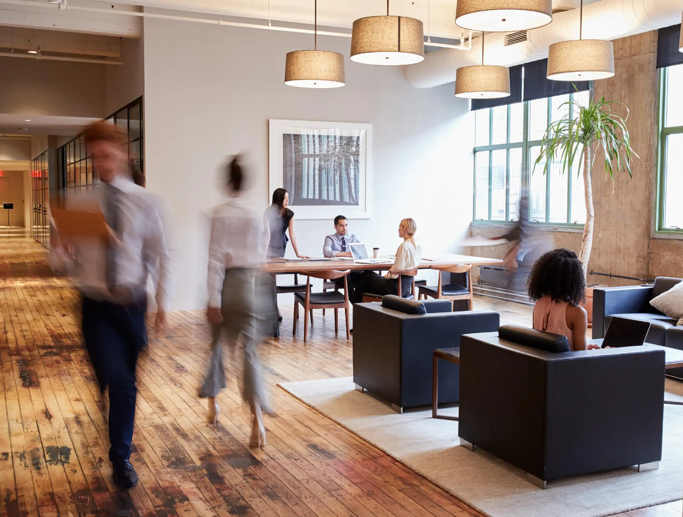 Office Working   Real Estate Developers